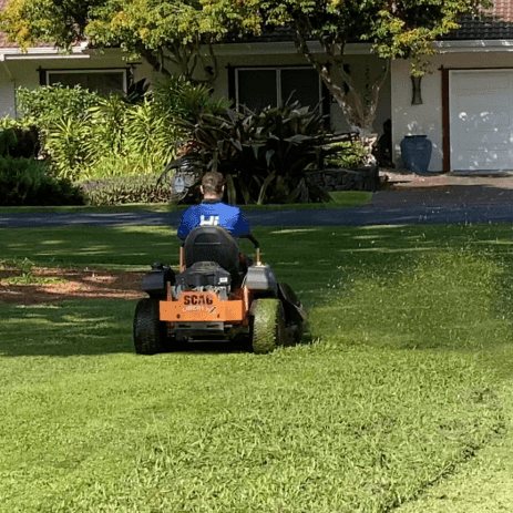 Hawaii Landscaping